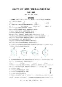 2021学年8月“超简单”联盟学业水平适应性考试物理练习题