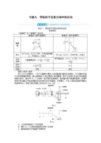 2022届高三统考物理人教版一轮复习学案：专题九 带电粒子在复合场中的运动