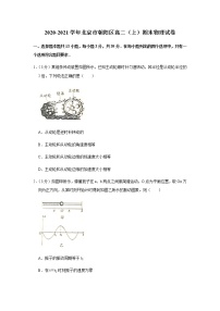 2020-2021学年北京市朝阳区高二（上）期末物理试卷