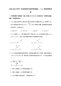 2020-2021学年广东省深圳市东部华侨城高二（上）期末物理试卷