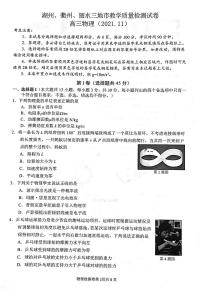 2022届浙江省湖州、丽水、衢州三地市高三上学期教学质量检测（一模）物理试题 PDF版含答案