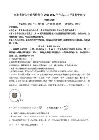 2021-2022学年湖北省新高考联考协作体高二上学期期中联考物理试题 解析版