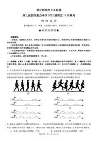 2022届湖北新高考9 N联盟部分重点中学高三上学期11月联考物理试题 PDF版含答案