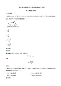 2021届北京市朝阳区高三上学期期末考试统考物理试题（解析版）