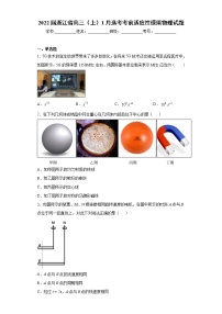 2022届浙江省高三(上)1月选考考前适应性模拟物理试题