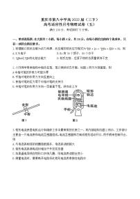 重庆市第八中学2021-2022学年高三下学期高考适应性月考（五）物理无答案