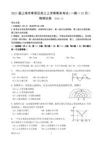 2021届上海市奉贤区高三上学期期末考试（一模）（12月）物理试卷 PDF版