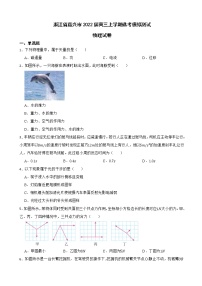 2022届浙江省嘉兴市高三上学期选考模拟测试物理试卷（word版）