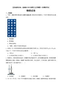 2022届江苏省南京市、盐城市高三上学期第一次模拟考试物理试卷（解析版）