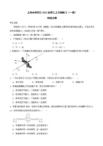 2022届上海市奉贤区高三上学期练习（一模）物理试卷（word版）