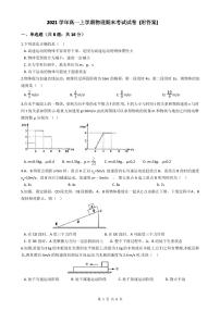 2021学年高一上学期物理期末考试试卷 (附答案)