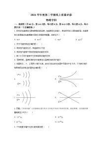 2022上海杨浦区高三下学期线上期中（二模）物理试题含答案