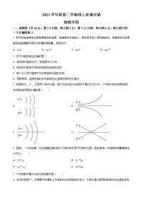 2022年上海市杨浦区高三（下）二模在线质量评估题目物理试题 详解版