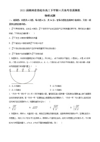 2021届湖南省娄底市高三下学期4月高考仿真模拟物理试题