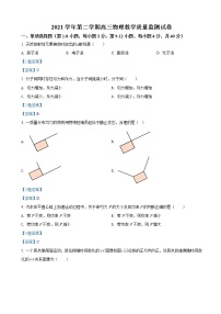 2022届上海市长宁区高三下学期二模考试  物理试题  word版