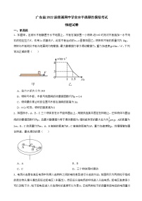 2022届广东省普通高中物理学业水平选择性模拟考试试卷（word版）