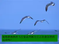 教科版 (2019)必修 第二册3 圆周运动的实例分析教案配套课件ppt