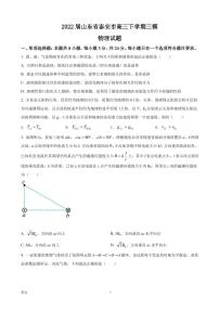 2022届山东省泰安市高三下学期三模物理试题（PDF版）