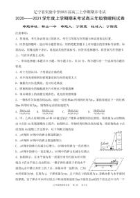 2021届辽宁省实验中学高三上学期期末考试物理试卷 PDF版
