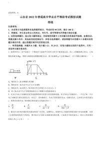 2022年山东省潍坊市高三三模物理试题含答案