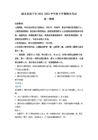 2021-2022学年湖北省咸宁市高一下学期期末物理试题（详解版）