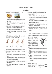 高中物理人教版 (2019)必修 第一册3 牛顿第三定律优秀课后测评