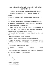 2023湖北省新高考联考协作体高三上学期起点考试物理试题（含答案）