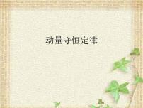 2022-2023年高考物理一轮复习 动量守恒定律课件