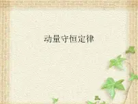 2022-2023年高考物理一轮复习 动量守恒定律课件