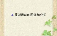 2022-2023年高考物理一轮复习 简谐运动的图像和公式课件