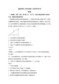 湖南省岳阳市2022-2023学年高三物理上学期适应性考试试卷(Word版附解析)