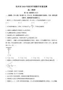 2021钦州高二上学期期末物理试题含解析