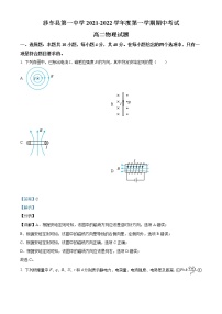 2022喀什地区莎车县一中高二上学期期中考试物理试题含解析