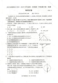 2019届北京市朝阳区高三上学期期中考试物理试题 PDF版