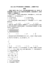 2022-2023学年广东省深圳市六校联盟高二上学期期中考试物理试题 Word版