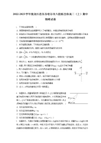 2022-2023学年黑龙江省齐齐哈尔市八校联合体高二（上）期中物理试卷（含答案解析）