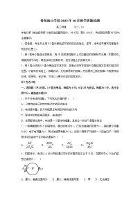 2022-2023学年上学期山东省青岛市海山学校高二10月份物理月考题（无答案）