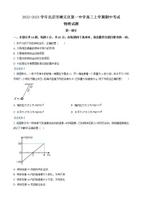 2022-2023学年北京市顺义区第一中学高三上学期期中考试物理试题（word版）