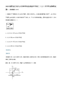 2023届黑龙江省大兴安岭呼玛县高级中学高三（上）开学考试物理试题含解析