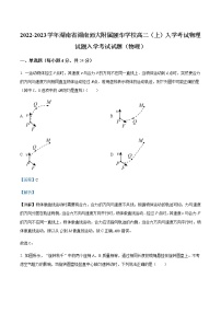 2022-2023学年湖南省湖南师大附属颐华学校高二（上）入学考试物理试题含解析