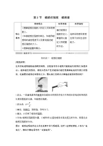 物理必修 第三册第十三章 电磁感应与电磁波初步2 磁感应强度 磁通量教案设计