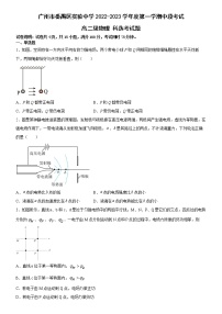 广东省广州市番禺区实验中学2022-2023学年高二上学期期中考试物理试题（含答案）