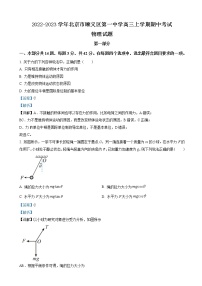 2022-2023学年北京市顺义区第一中学高三上学期期中考试物理试题（解析版）