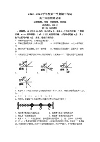 湖北省武汉市八校2022-2023学年高二上学期期中联考物理试题（含答案）