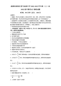 四川省成都市东部新区养马高级中学2022-2023学年高二上学期期中考试物理试题