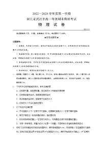 2022～2023学年湖北省武汉市高一上学期期末模拟考试物理试卷