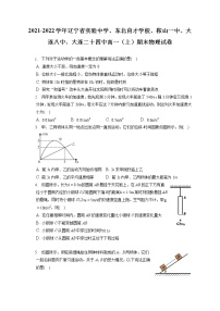 2021-2022学年辽宁省实验中学、东北育才学校、鞍山一中、大连八中、大连二十四中高一（上）期末物理试卷（含答案解析）