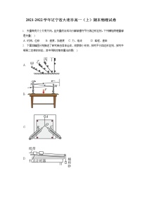 2021-2022学年辽宁省大连市高一（上）期末物理试卷（含答案解析）