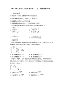 2021-2022学年辽宁省大连市高二（上）期末物理试卷（含答案解析）