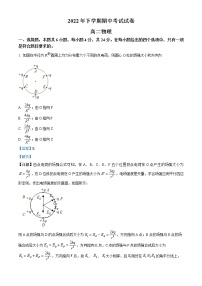 2023邵阳武冈高二上学期期中考试物理试题含解析